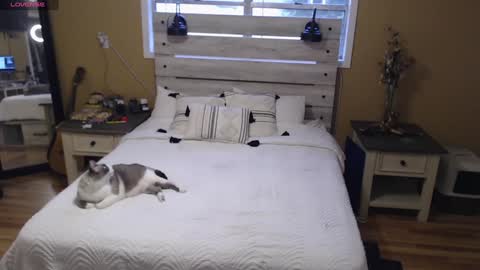 Texas Mamasita online show from January 2025 03:33:01 PM