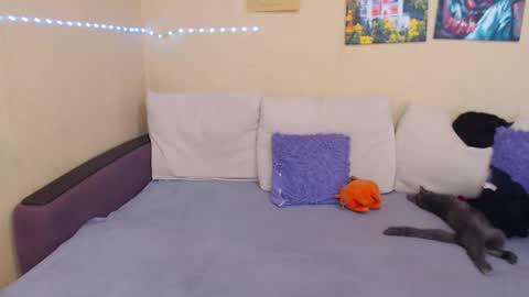 Snapshot of juliasane_ chatting on September 2025 02:06:01 PM Jul online show from September 2025 02:06:01 PM