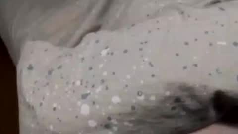 Asian office boy online show from January 2025 02:36:02 PM