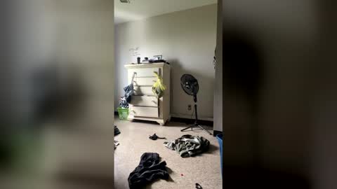 junosphboi online show from April 2026 03:32:02 PM