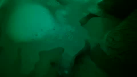 Yuri online show from December 2024 06:48:01 PM