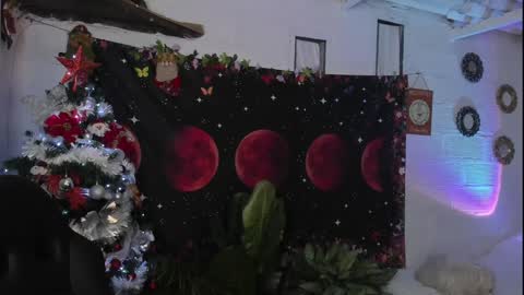 Sofia online show from December 2024 03:45:01 AM