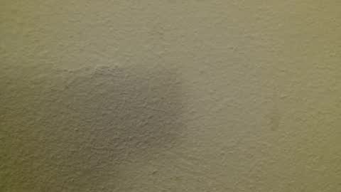 Just marlon online show from February 2025 08:44:02 PM