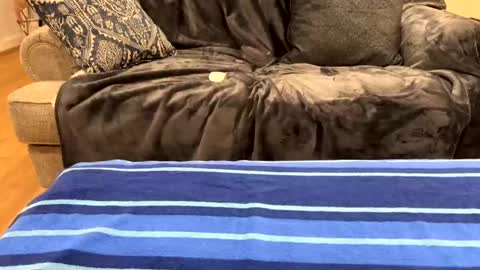 Snapshot of just_ur_avg_cpl chatting on February 2025 12:32:02 AM justuravgdad justuravgmom online show from February 2025 12:32:02 AM