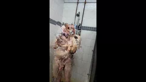 Snapshot of justatoysoldier1973 chatting on April 2026 05:13:02 PM Just a Toy Soldier online show from April 2026 05:13:02 PM