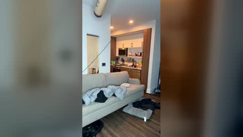 justindebondt202328563 online show from December 2025 10:56:02 AM