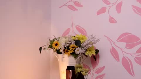 Snapshot of justnala_ chatting on June 2026 10:15:01 AM Nala online show from June 2026 10:15:01 AM