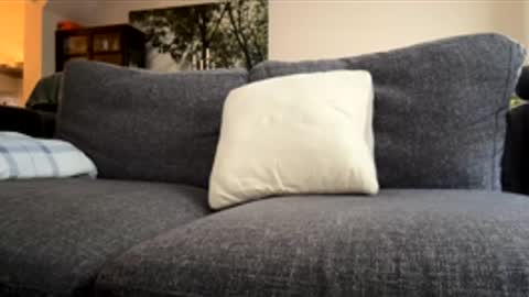 Kevin online show from December 2025 12:14:02 PM