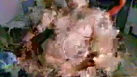 Snapshot of juteja chatting on September 2025 10:20:01 PM juteja online show from September 2025 10:20:01 PM