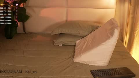 Snapshot of kai_zarek chatting on April 2026 04:50:02 PM Kai online show from April 2026 04:50:02 PM