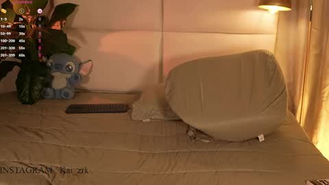 Snapshot of kai_zarek chatting on April 2026 06:10:01 PM Kai online show from April 2026 06:10:01 PM