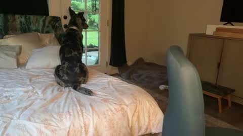 Kailee Smile online show from February 2026 04:16:02 AM