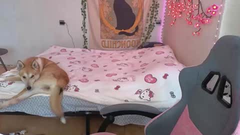 Snapshot of kaisythesmall chatting on March 2026 06:41:02 AM Kessy online show from March 2026 06:41:02 AM