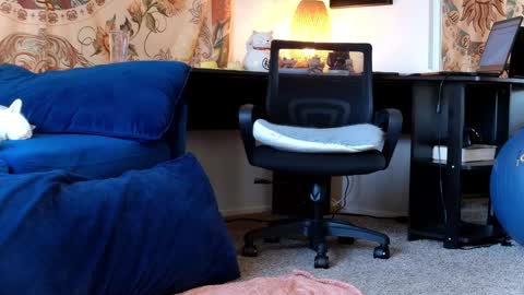 Tara Smith online show from January 2025 06:54:01 PM