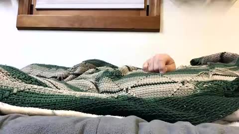 Snapshot of kansas_mastutbater chatting on October 2025 02:30:02 AM kansas_mastutbater online show from October 2025 02:30:02 AM