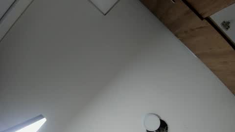 karina_aurora online show from February 2026 04:19:01 AM