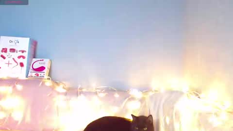 Kira online show from January 2025 06:39:01 AM