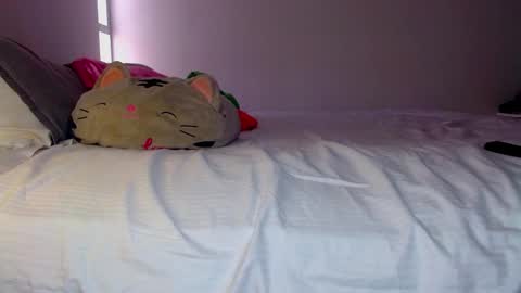 Snapshot of katalinaferreirax chatting on December 2024 06:17:01 PM katalinaferreirax online show from December 2024 06:17:01 PM