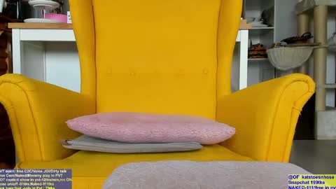 Snapshot of katerinadoll chatting on April 2026 10:41:01 AM Kat - ModelIT studentnext stream SUNDAY PM stockholm time online show from April 2026 10:41:01 AM