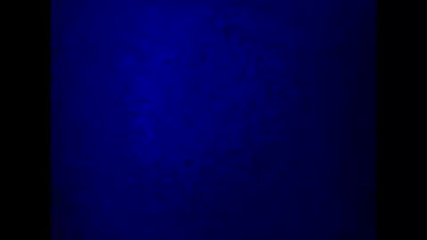 Snapshot of kathyfantasylover chatting on March 2025 10:21:02 PM kathy online show from March 2025 10:21:02 PM