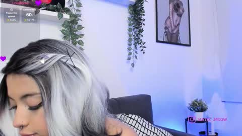 Kato online show from November 2025 02:37:02 AM