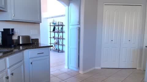 Snapshot of kats_a_tease chatting on February 2026 06:36:02 PM Kat online show from February 2026 06:36:02 PM