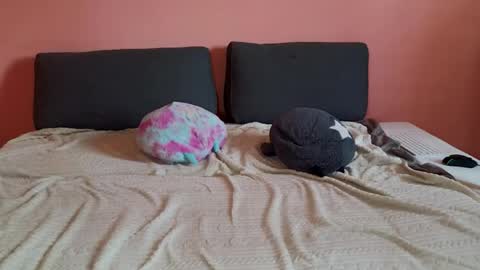 katusha008 online show from March 2026 02:17:01 PM