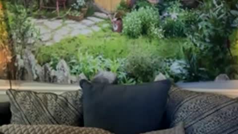 katy_chris online show from June 2026 06:19:02 AM
