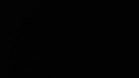 Neon online show from July 2026 05:49:02 PM