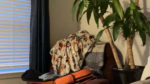 Keaton Keller online show from October 2025 10:56:02 PM