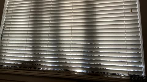 Snapshot of keepquietj chatting on February 2025 09:48:01 PM keepquietj online show from February 2025 09:48:01 PM