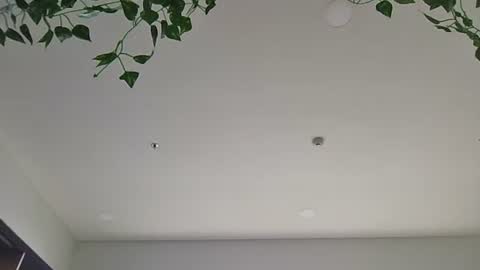 Snapshot of kei3442 chatting on April 2026 05:52:01 AM Sky-pure-Japanese online show from April 2026 05:52:01 AM