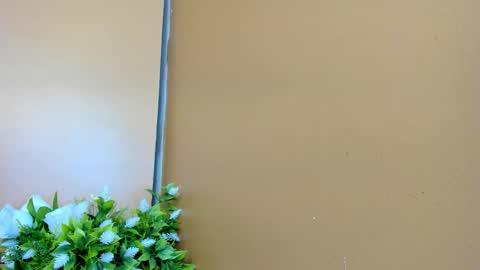 keisy_sanchez online show from January 2026 11:04:01 AM