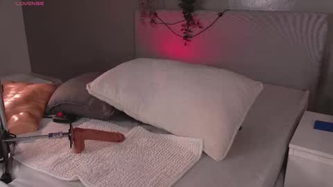   online show from March 2026 11:34:02 AM