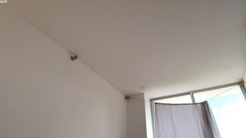 kendall online show from March 2026 04:24:02 PM