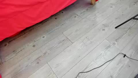 Kendra London online show from February 2026 11:15:02 AM