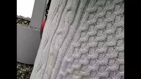 kenhiking online show from February 2026 05:25:02 AM