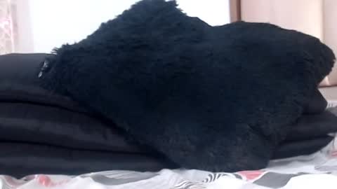 CHOQUITO online show from January 2025 11:23:01 PM