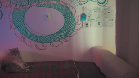 Kero online show from September 2025 06:48:02 AM