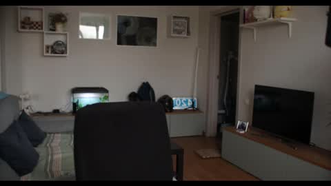 Kev online show from February 2025 12:05:02 PM