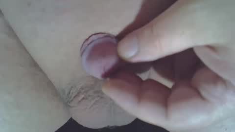 maggot online show from November 2025 01:47:01 AM