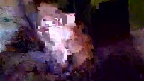 Snapshot of khrisdavis63 chatting on October 2025 03:18:02 AM Khristopher Davis online show from October 2025 03:18:02 AM