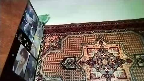 Snapshot of kikibang_ chatting on November 2025 08:14:01 AM kikibang_ online show from November 2025 08:14:01 AM