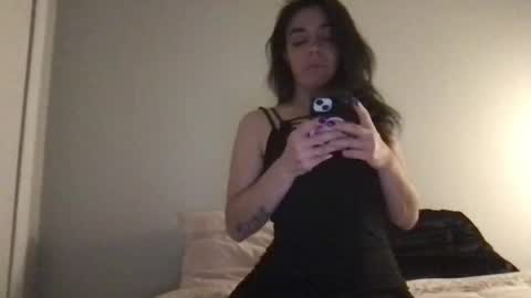 kiki z moonlight attorney at law online show from December 2024 12:52:02 AM