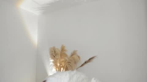 Kim Murphy online show from October 2025 12:28:02 PM