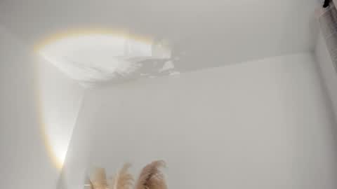 Kim Murphy online show from February 2026 11:28:02 AM