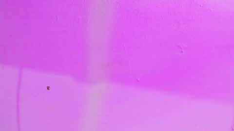 Your Queen KIM online show from December 2024 09:00:01 PM