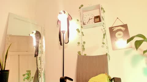 Snapshot of kimmcarter chatting on January 2025 07:38:01 AM Kimm online show from January 2025 07:38:01 AM