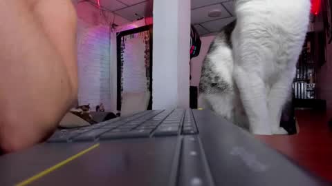 Snapshot of kimmymadison chatting on February 2025 12:51:01 AM Melany online show from February 2025 12:51:01 AM