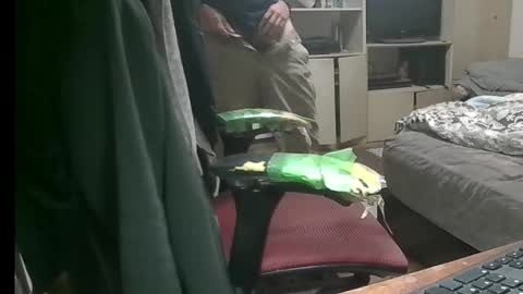 Snapshot of kinchan069 chatting on November 2025 07:50:01 AM kinchan069 online show from November 2025 07:50:01 AM